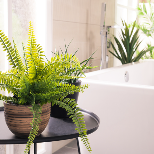 Aménager une salle de bain sous les combles plantes